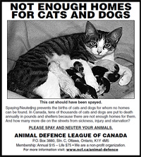 Spay-Neuter Advertisement