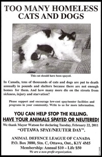 Spay-Neuter Advertisement